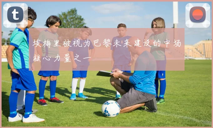 埃梅里被视为巴黎未来建设的中场核心力量之一